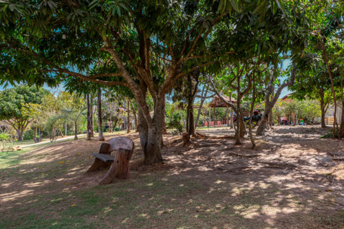 estrutura-servicos-estruturas-97-imagens-g0WK9wWB7Q