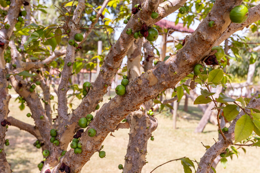 estrutura-servicos-estruturas-97-imagens-uygN67FLF8