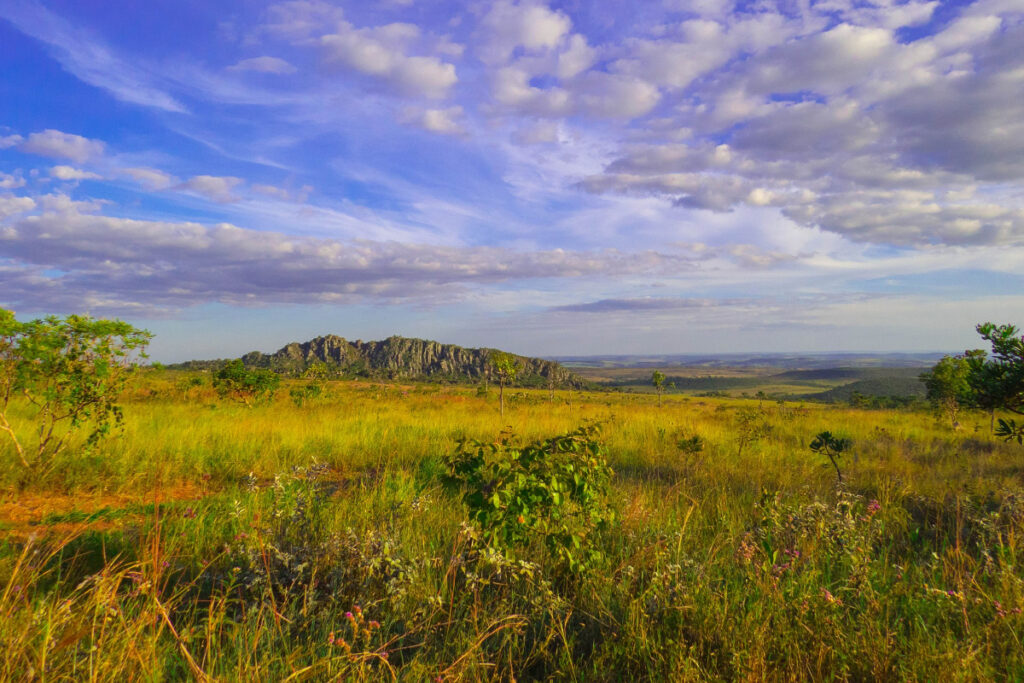 pagina-extra4-imagem-capa-14-nVbCAVACLF