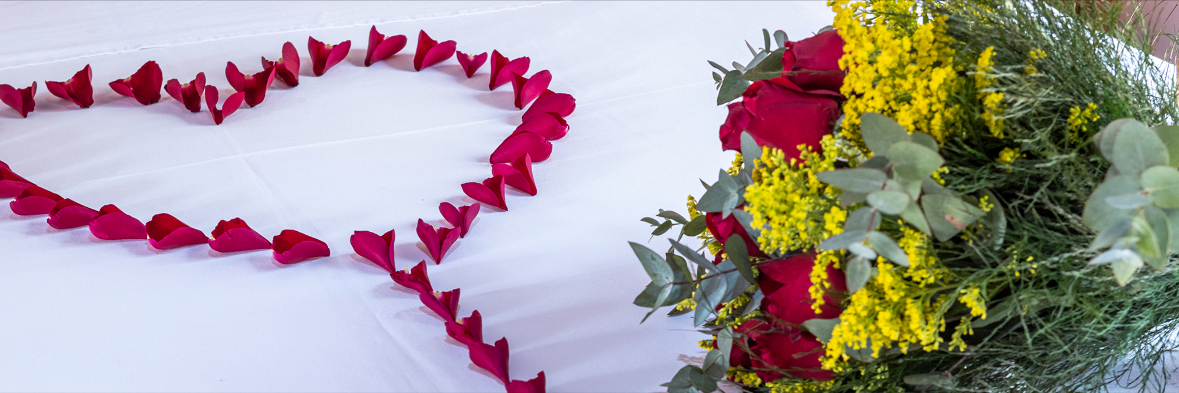 pagina-imagem-capa-13-9iPAoDpYxK