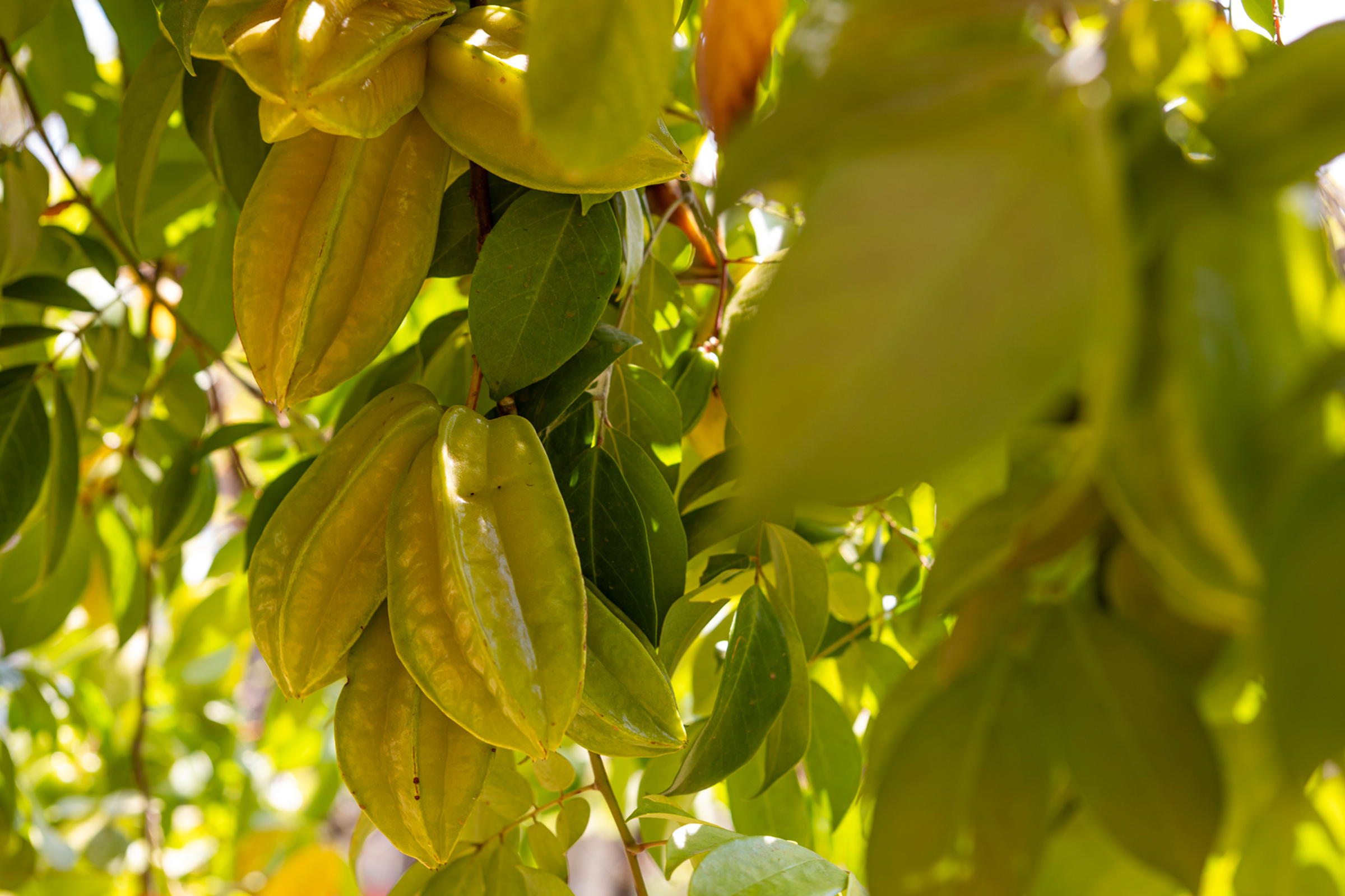 personalizacao-home-slider-imagens-Ju8W90Vwl1